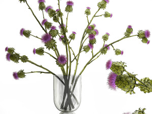 Beautiful green bouquet of Thistle thorn in a glass vase 295 3D मॉडल