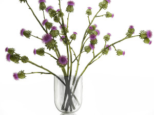 Beautiful green bouquet of Thistle thorn in a glass vase 295 Modèle 3D