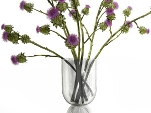 Beautiful green bouquet of Thistle thorn in a glass vase 295 Modèle 3D