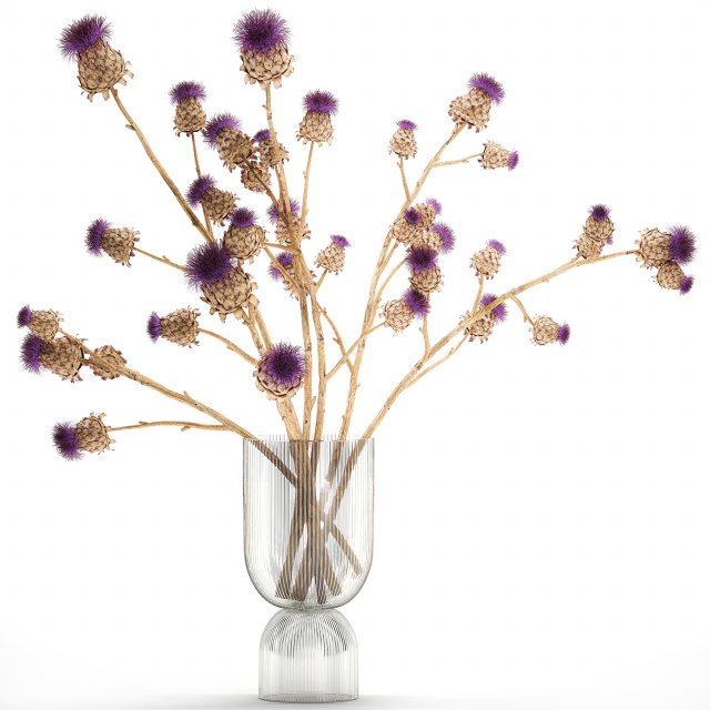 Beautiful dried flower bouquet Thistle thorn in a glass vase 296 3D मॉडल .c4d .max .obj .3ds .fbx .stl .blend 
