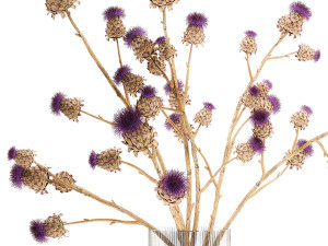Beautiful dried flower bouquet Thistle thorn in a glass vase 296 3D मॉडल