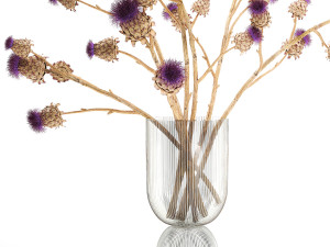Beautiful dried flower bouquet Thistle thorn in a glass vase 296 3D मॉडल