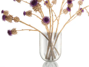 Bellissimo bouquet di fiori secchi Spina di cardo in un vaso di vetro 296 Modello 3D