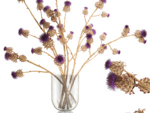 Beautiful dried flower bouquet Thistle thorn in a glass vase 296 3D मॉडल