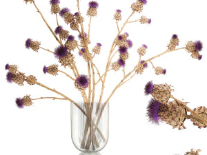 Bellissimo bouquet di fiori secchi Spina di cardo in un vaso di vetro 296 Modello 3D