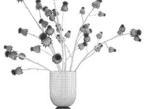Beautiful dried flower bouquet Thistle thorn in a glass vase 296 3D मॉडल