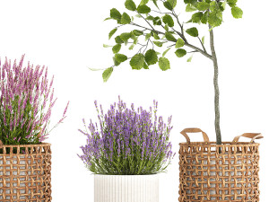 Beautiful plants in a basket lavender bush and tree 1369 3Dモデル