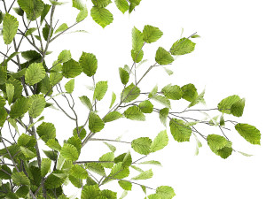 Beautiful plants in a basket lavender bush and tree 1369 3Dモデル