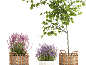 Beautiful plants in a basket lavender bush and tree 1369 3Dモデル