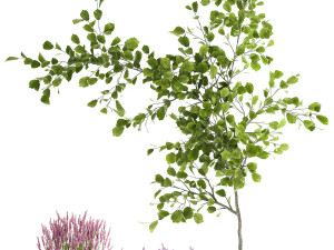 Beautiful plants in a basket lavender bush and tree 1369 3Dモデル