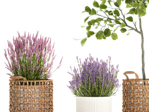 Beautiful plants in a basket lavender bush and tree 1369 3Dモデル