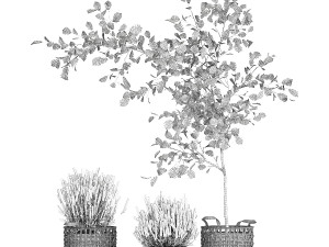 Beautiful plants in a basket lavender bush and tree 1369 3Dモデル