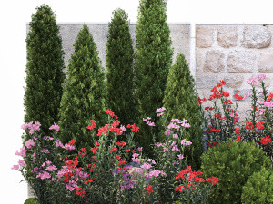 Beautiful garden with thuja flowers cypress and oleander 1370 Modelo 3D