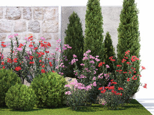 Beautiful garden with thuja flowers cypress and oleander 1370 Modelo 3D