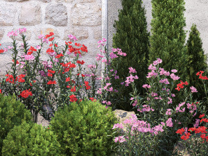 Beautiful garden with thuja flowers cypress and oleander 1370 Modelo 3D