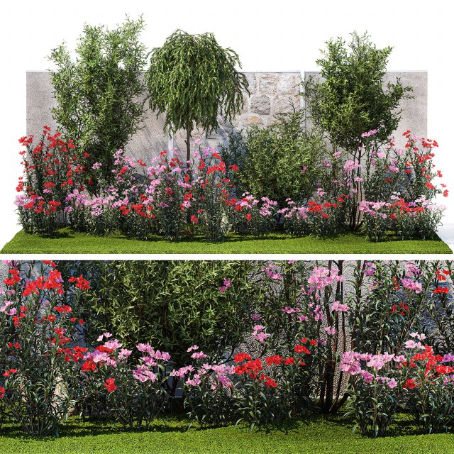 Beautiful garden with Olive Elaeagnus Oleander flowers 1371 3D Модель .c4d .max .obj .3ds .fbx .stl .blend 