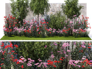Bellissimo giardino con fiori di olivo Elaeagnus Oleander 1371 Modello 3D