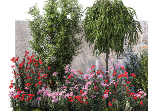 Beautiful garden with Olive Elaeagnus Oleander flowers 1371 3D Модель