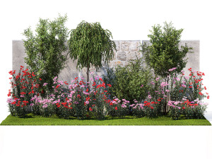 Beautiful garden with Olive Elaeagnus Oleander flowers 1371 3D Модель