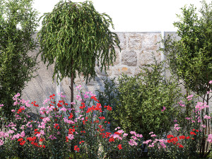 Beautiful garden with Olive Elaeagnus Oleander flowers 1371 3D Модель
