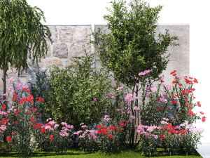 Beautiful garden with Olive Elaeagnus Oleander flowers 1371 3D Модель