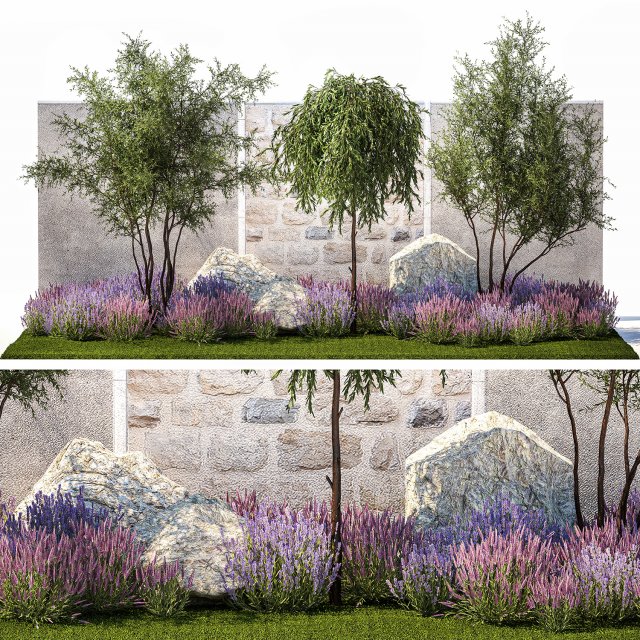 Beautiful garden with Olive Elaeagnus Lavender flowers 1372 3D Model .c4d .max .obj .3ds .fbx .stl .blend 