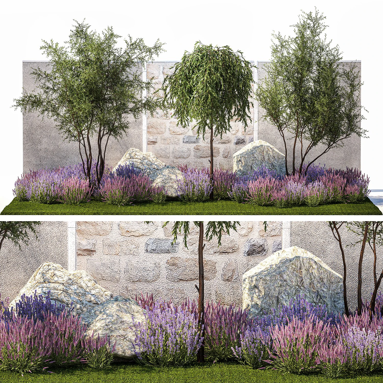 Beautiful garden with Olive Elaeagnus Lavender flowers 1372 3D Model .c4d .max .obj .3ds .fbx .stl .blend 