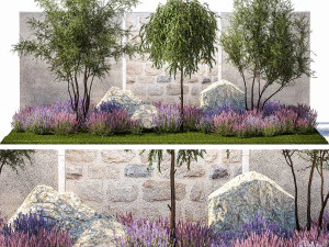 Piękny ogr&oacute;d z kwiatami lawendy Olive Elaeagnus 1372 Model 3D