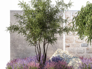 Beautiful garden with Olive Elaeagnus Lavender flowers 1372 3D Model