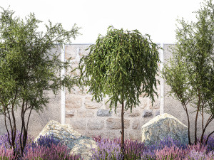 Beautiful garden with Olive Elaeagnus Lavender flowers 1372 3D Model