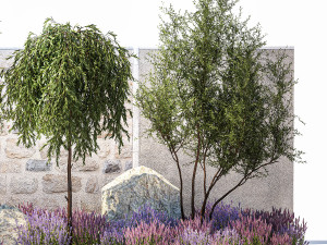 Beautiful garden with Olive Elaeagnus Lavender flowers 1372 3D Model