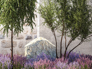 Beautiful garden with Olive Elaeagnus Lavender flowers 1372 3D Model