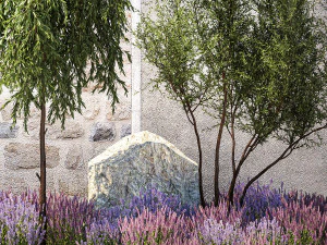 Beautiful garden with Olive Elaeagnus Lavender flowers 1372 3D Model