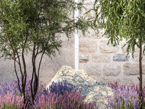 Beautiful garden with Olive Elaeagnus Lavender flowers 1372 3D Model