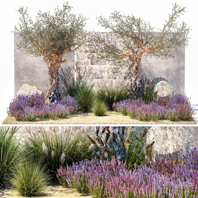 Beautiful garden with old olive feather grass lavender flowers 1373 Modelo 3D .c4d .max .obj .3ds .fbx .stl .blend 
