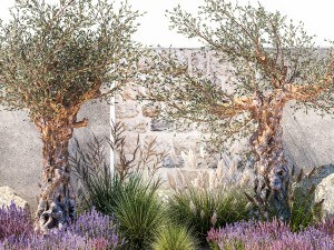Beautiful garden with old olive feather grass lavender flowers 1373 Modelo 3D