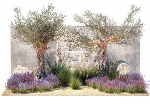 Beautiful garden with old olive feather grass lavender flowers 1373 Modelo 3D