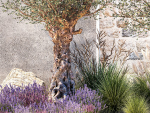 Beautiful garden with old olive feather grass lavender flowers 1373 Modelo 3D