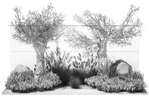 Beautiful garden with old olive feather grass lavender flowers 1373 Modelo 3D