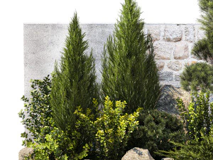 Beautiful garden with thuja cypress pine juniper 1374 3D Model