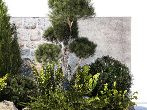 Beautiful garden with thuja cypress pine juniper 1374 3D Model
