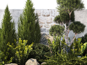 Beautiful garden with thuja cypress pine juniper 1374 Modelo 3D