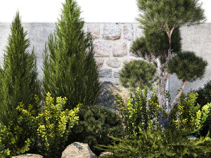 Beautiful garden with thuja cypress pine juniper 1374 3D Model