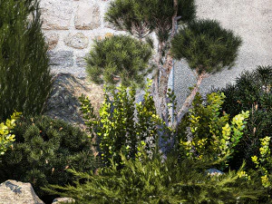 Beautiful garden with thuja cypress pine juniper 1374 3D Model
