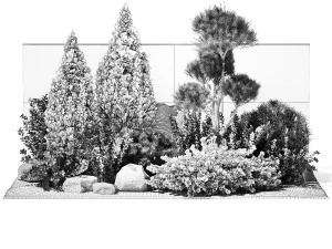 Beautiful garden with thuja cypress pine juniper 1374 3D Model
