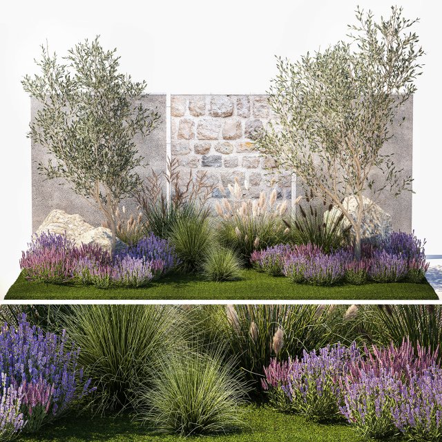 Beautiful garden with olive lavender and feather grass 1375 3D 模型 .c4d .max .obj .3ds .fbx .stl .blend