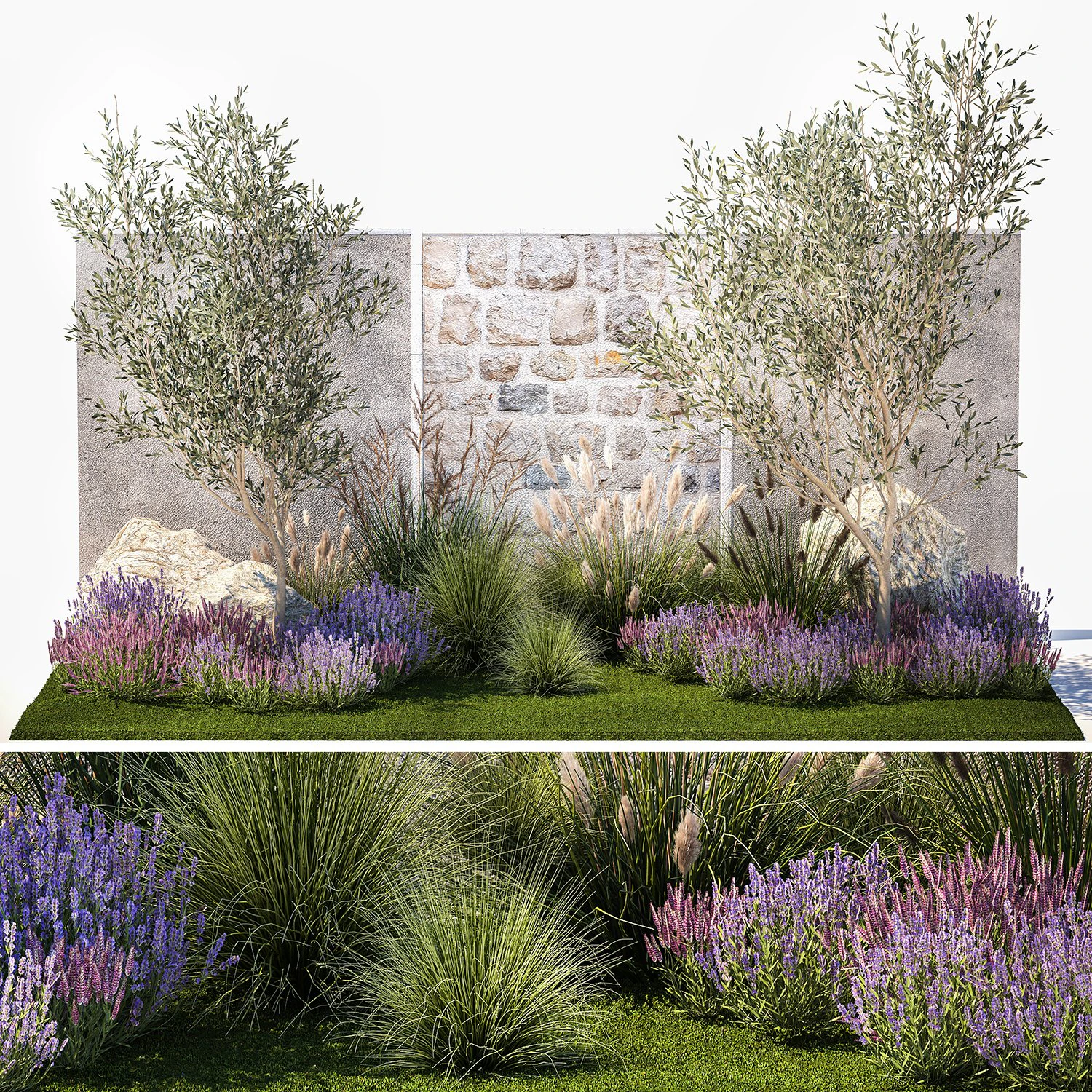 Beautiful garden with olive lavender and feather grass 1375 3D Model .c4d .max .obj .3ds .fbx .stl .blend 