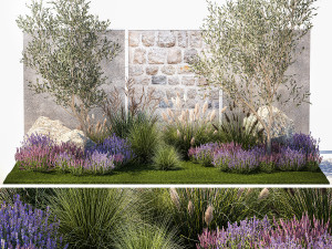 Beautiful garden with olive lavender and feather grass 1375 3D 모델