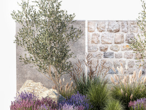 Beautiful garden with olive lavender and feather grass 1375 3D 模型