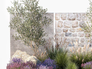 Beautiful garden with olive lavender and feather grass 1375 3D Model